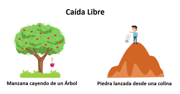 PP FISICA- CAIDA LIBRE. PROYECTO PIÑA