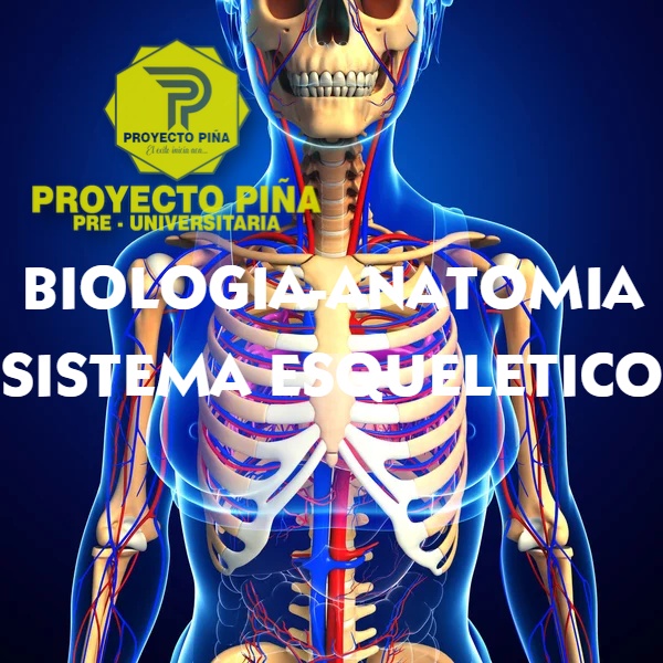 BIOLOGÍA-SISTEMA ESQUELÉTICO