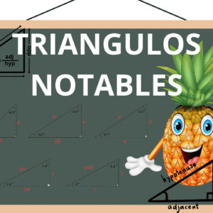 PP2- TRIGONOMETRÍA- TRIÁNGULOS NOTABLES